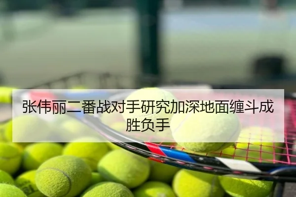 张伟丽二番战对手研究加深地面缠斗成胜负手