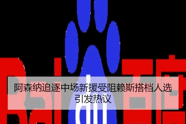 阿森纳追逐中场新援受阻赖斯搭档人选引发热议